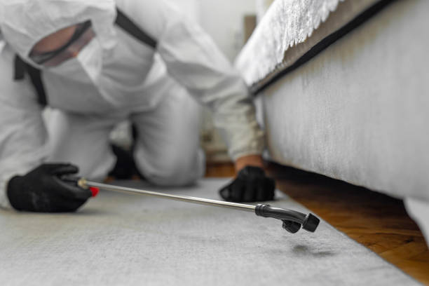 Professional Bed Bug Control technician working in Two Rivers, WI
